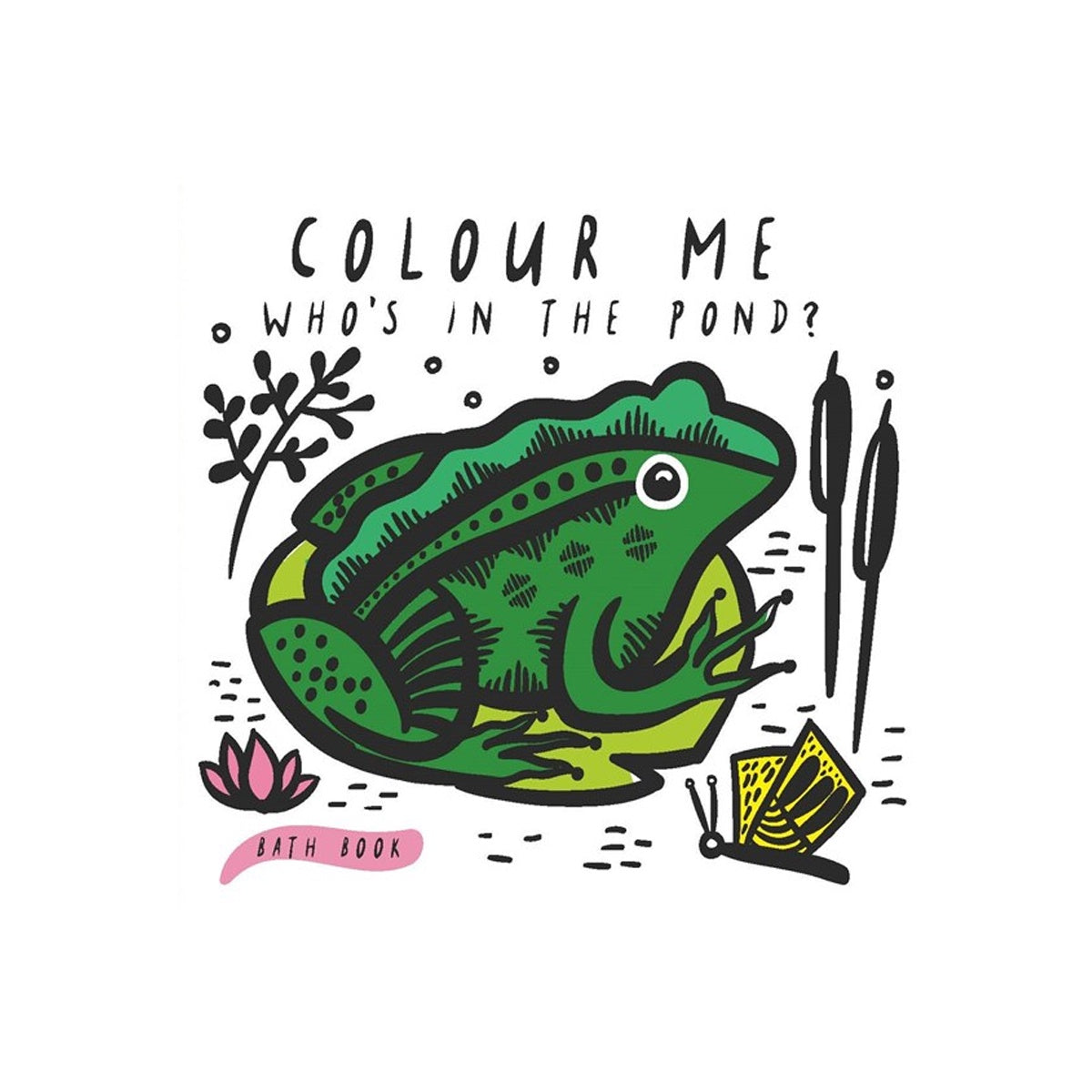 Colour Me: Who's In The Pond?